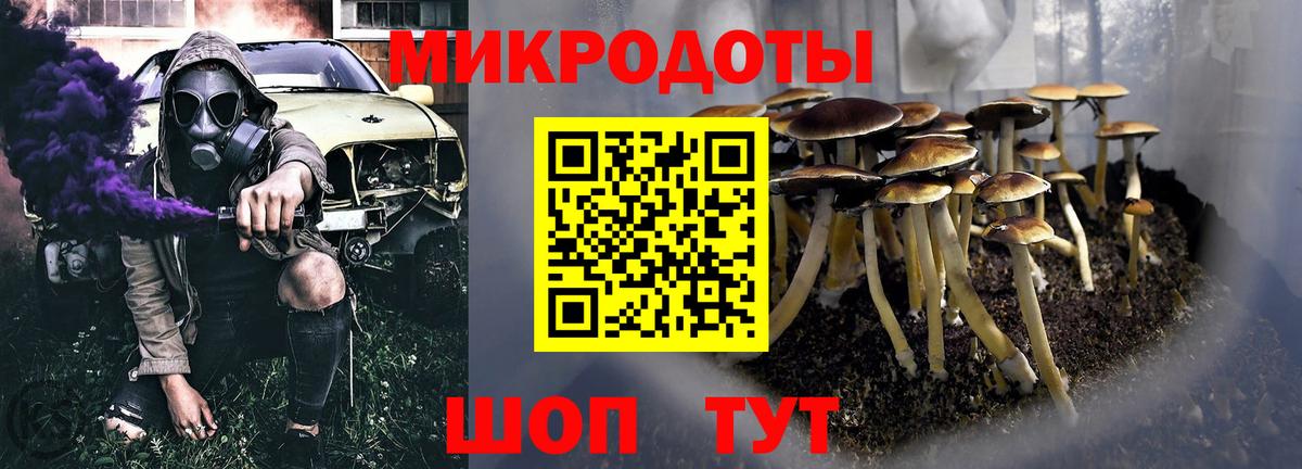 Псилоцибиновые грибы прущие грибы  Вход с VPN  что такое   Соль-Илецк 