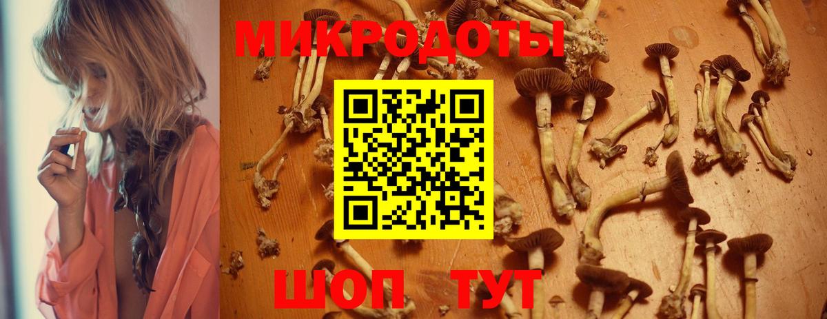 Галлюциногенные грибы Cubensis Соль-Илецк